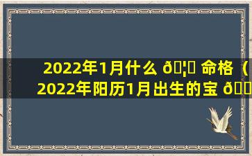 2022年1月什么 🦁 命格（2022年阳历1月出生的宝 🌷 宝是什么命）